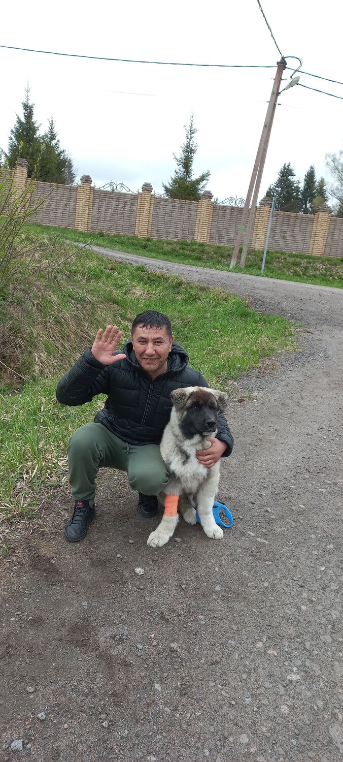 ���������� �����-���������, ���� ������� ���, 47 ���, ������������ ��� ������, ����� � ���������