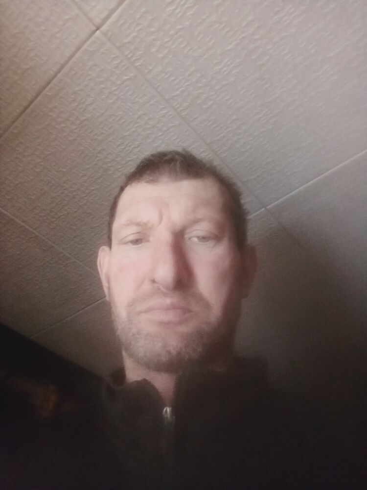 ���� 32381239 ������� �����, 48 ���, ���� ���������� � ������