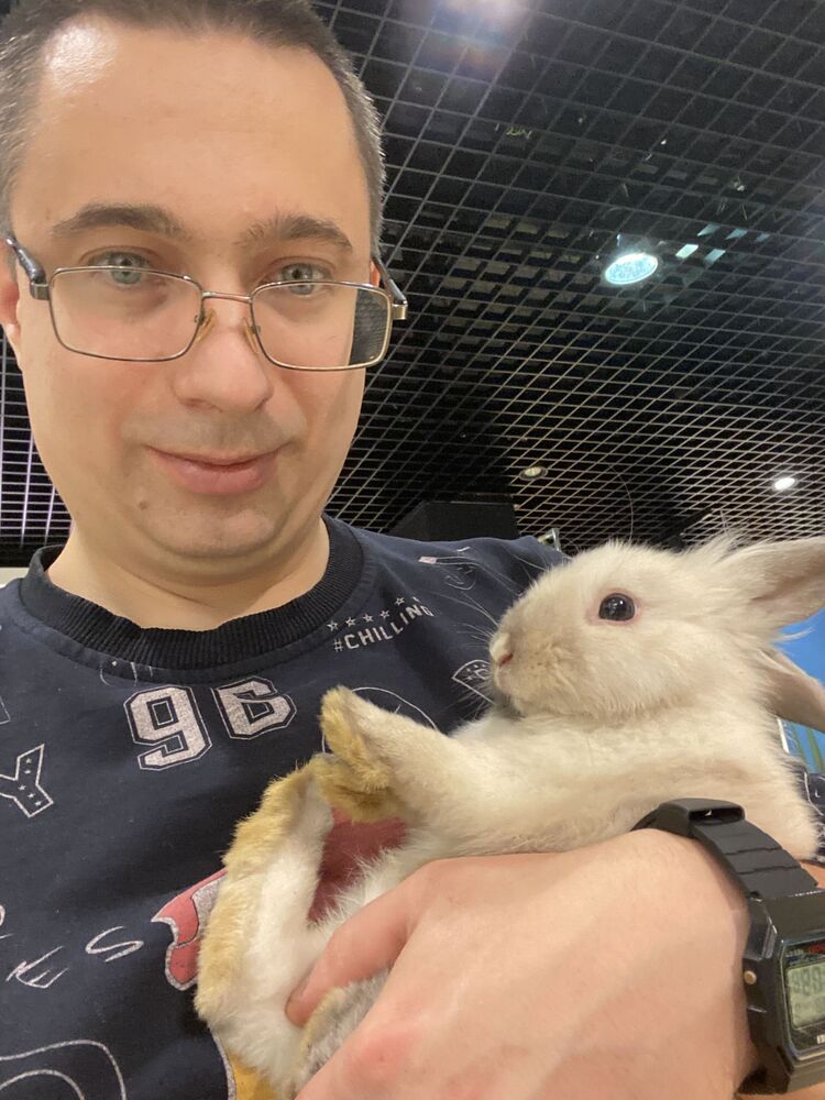 ���� 55329379 ������� ��� ��, 36 ���, ���� ���������� � ������