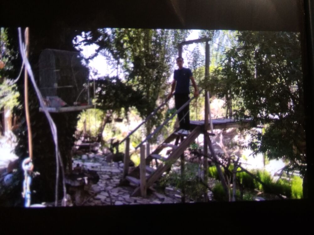 ���� 25707289 ������� ���������, 35 ���, ���� ���������� � ������