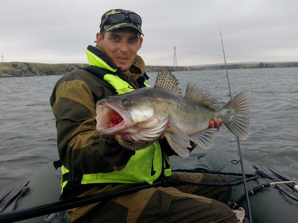 ���������� �����-���������, ���� ������� �������, 43 ����, ������������ ��� ������