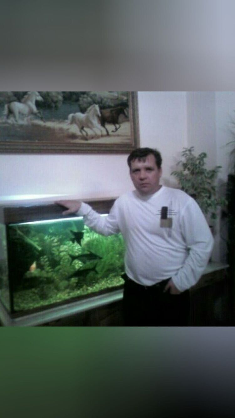  ,   , 52 ,   ,   , c , 