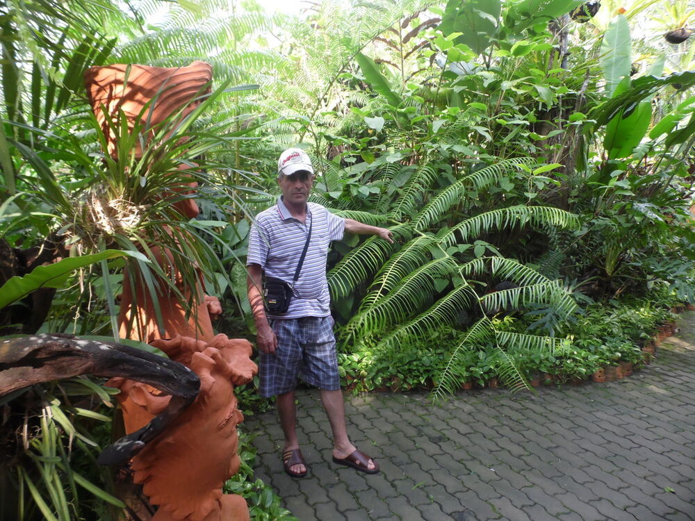 ���������� ������������, ���� ������� ���, 56 ���, ������������ 