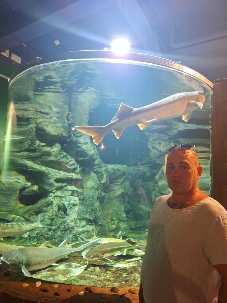 ���������� �����-���������, ���� ������� ������, 48 ���, ������������ ��� ������, ����� � ���������, c�������� ���������