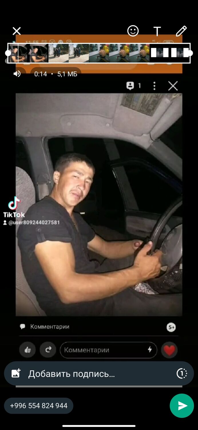  43075579    , 32 ,    