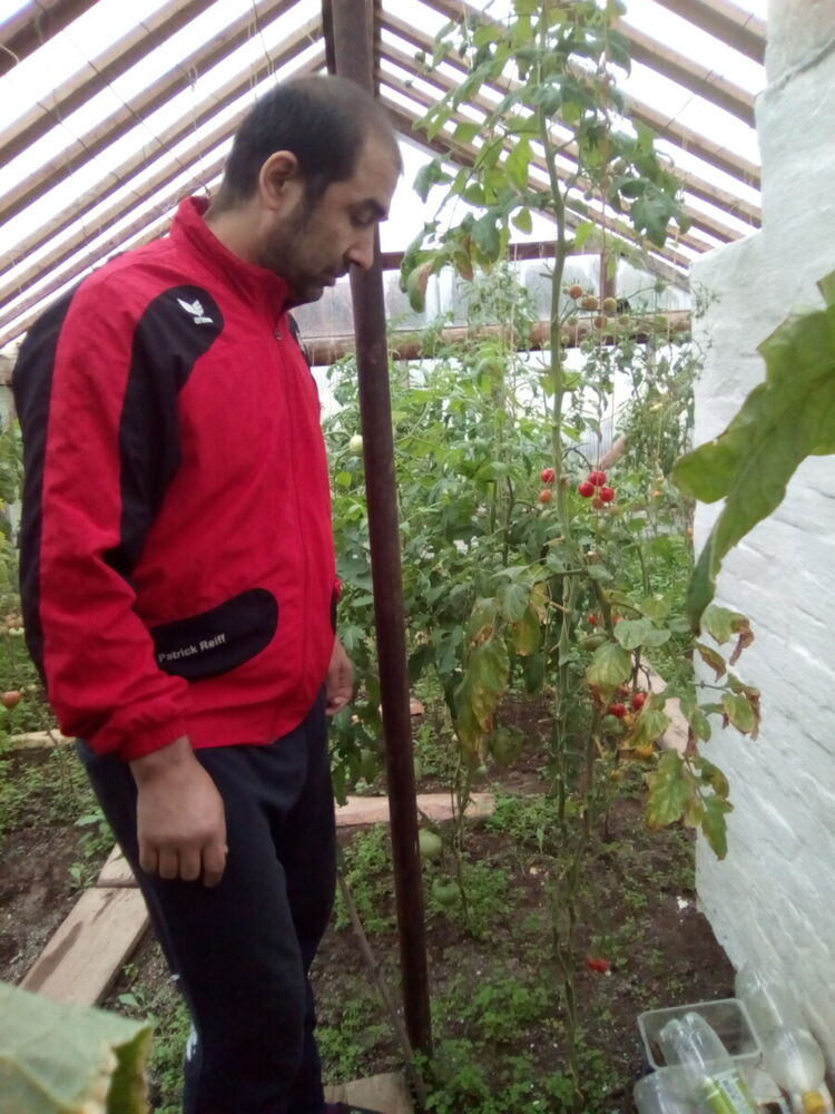 ���������� ������������, ���� ������� ����, 44 ����, ������������ ��� ������, ����� � ���������