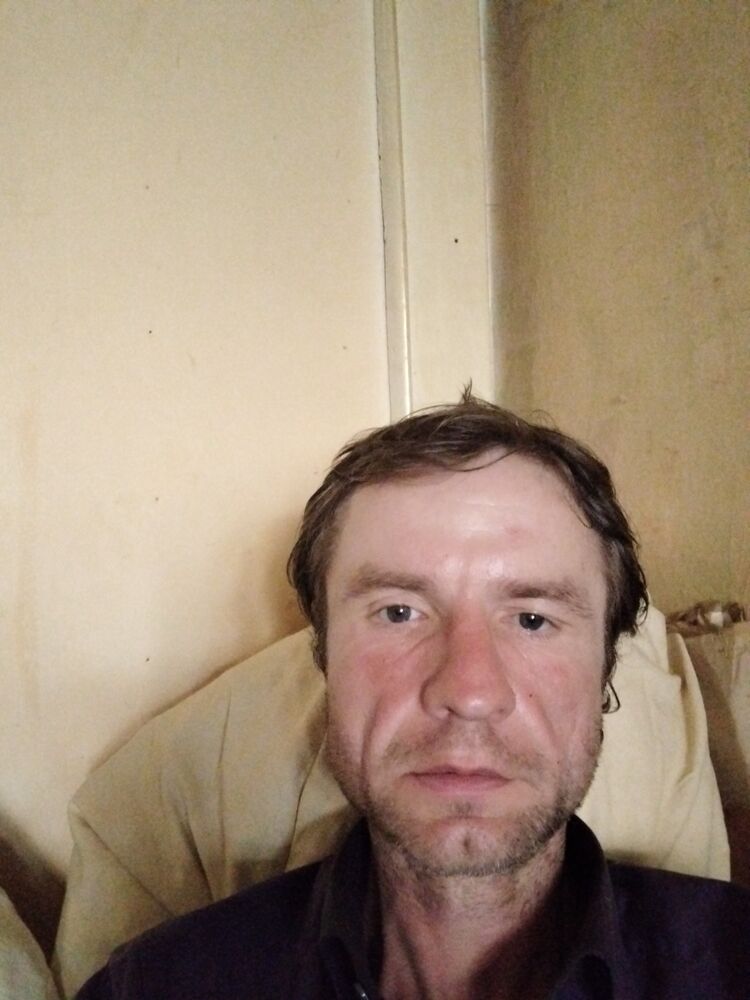  50182329  , 41 ,    