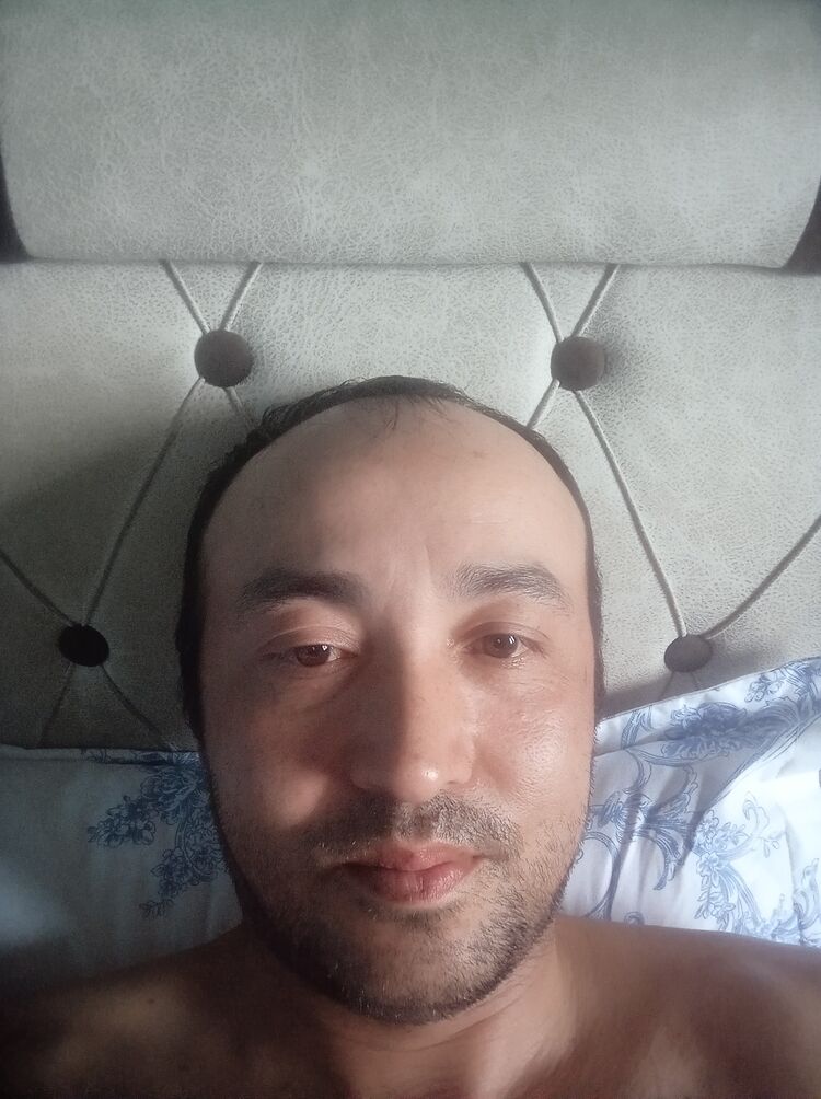 43133399  , 40 ,    