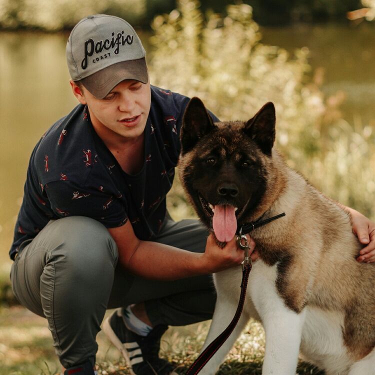 ���� 42068509 ������� ����, 29 ���, ���� ���������� � ����