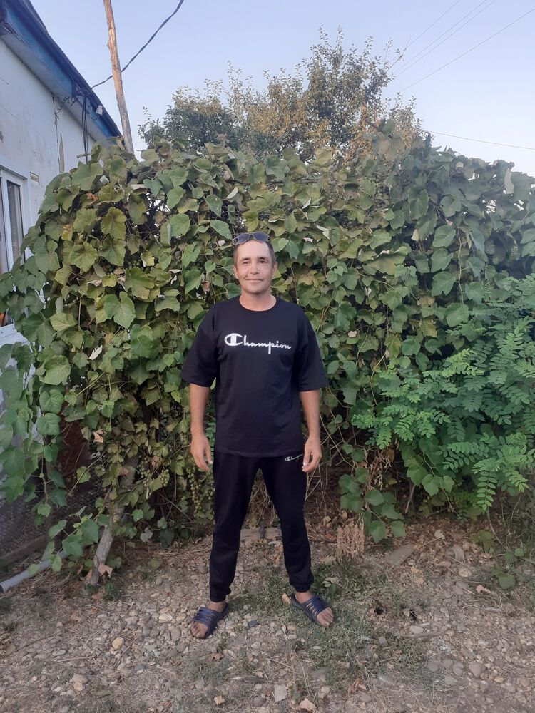  39563879  , 40 ,    