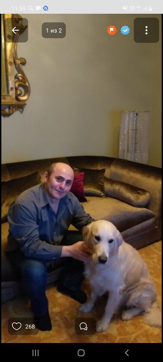 ���� 22590759 ������� �������, 51 ���, ���� ���������� � ������