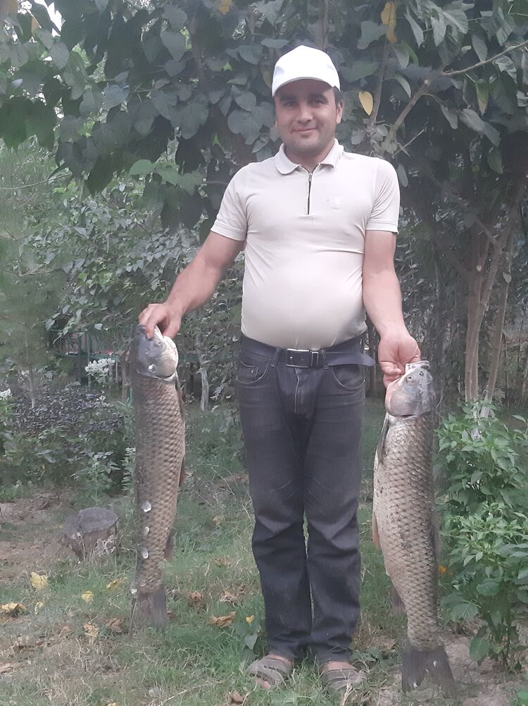 ���������� �������, ���� ������� ������, 42 ����, ������������ ��� ������, ����� � ���������