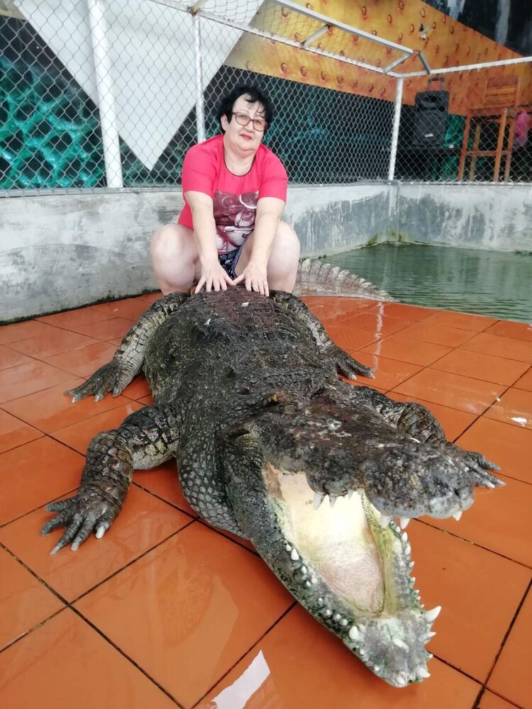  ,   , 70 ,   ,   