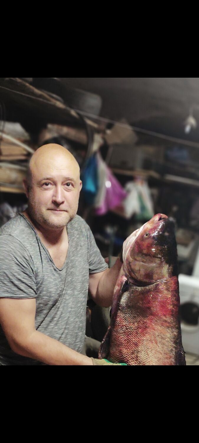 ���������� �����, ���� ������� ���������, 44 ����, ������������ ��� ������, ����� � ���������, c�������� ���������