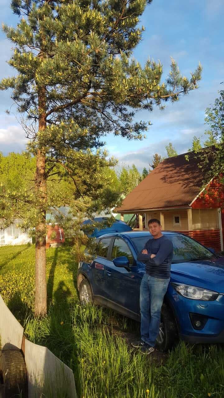 ���� 24490469 ������� ������, 45 ���, ���� ���������� � �����-����������