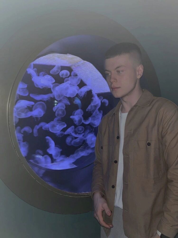 ���������� ������, ���� ����� ����, 24 ����, ������������ ��� ������, ����� � ���������