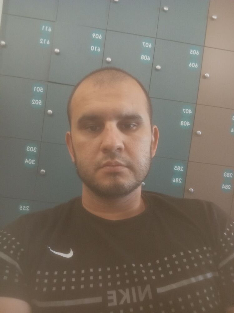  53174339  , 34 ,    