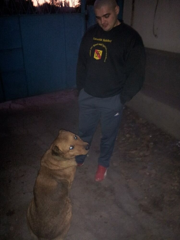  ,   Vladimir, 41 ,     , c 