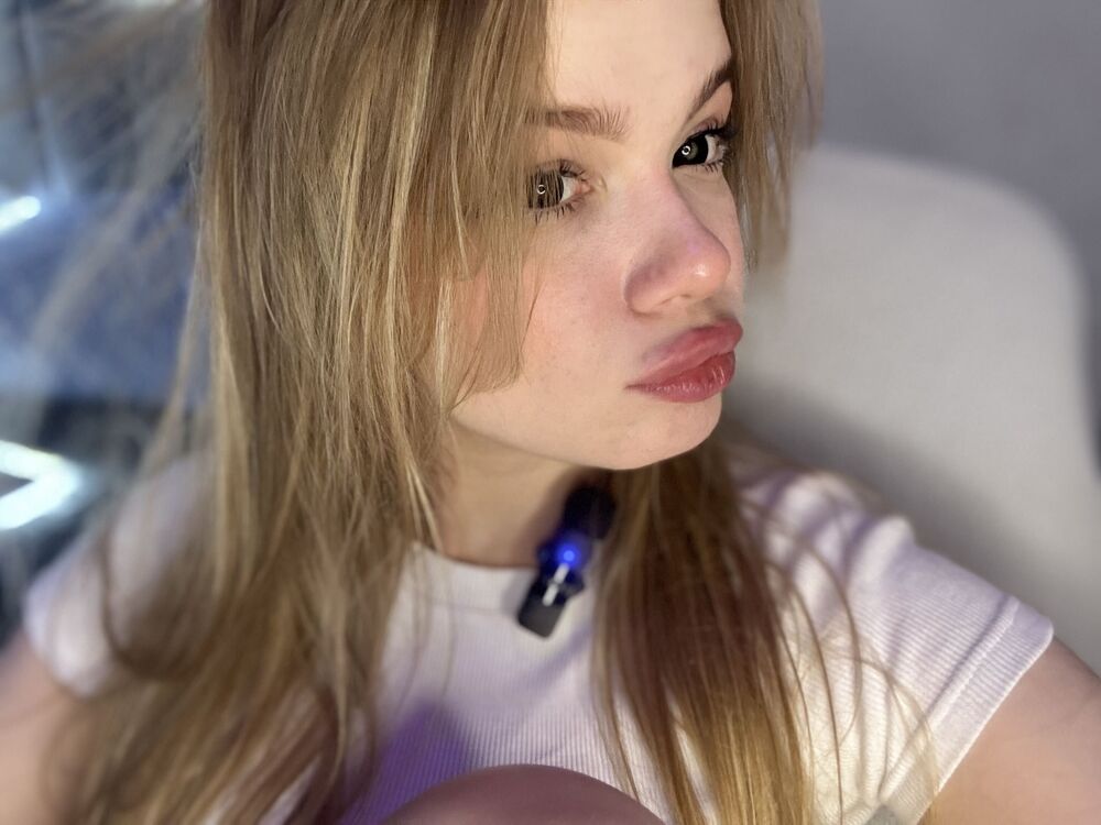  54545699  , 22 ,    -