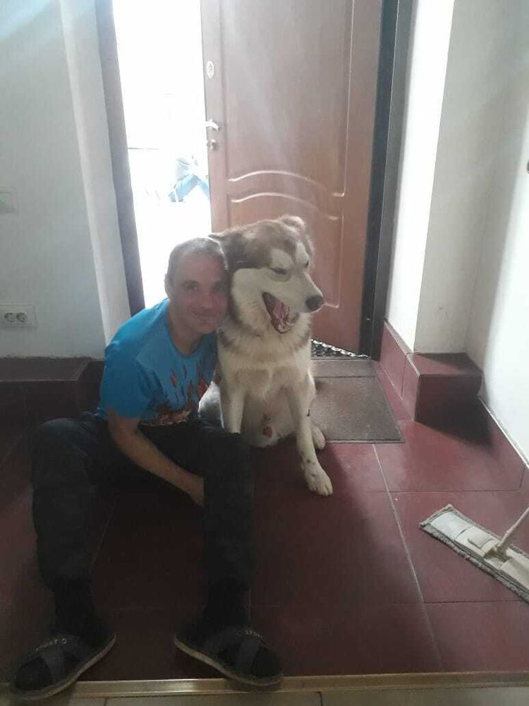  ,   , 43 ,   ,   