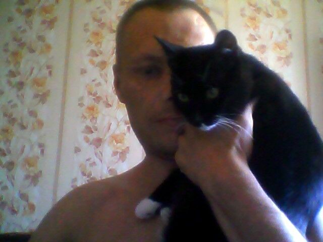 ���� 5341079 ������� �����, 45 ���, ���� ���������� � �����������