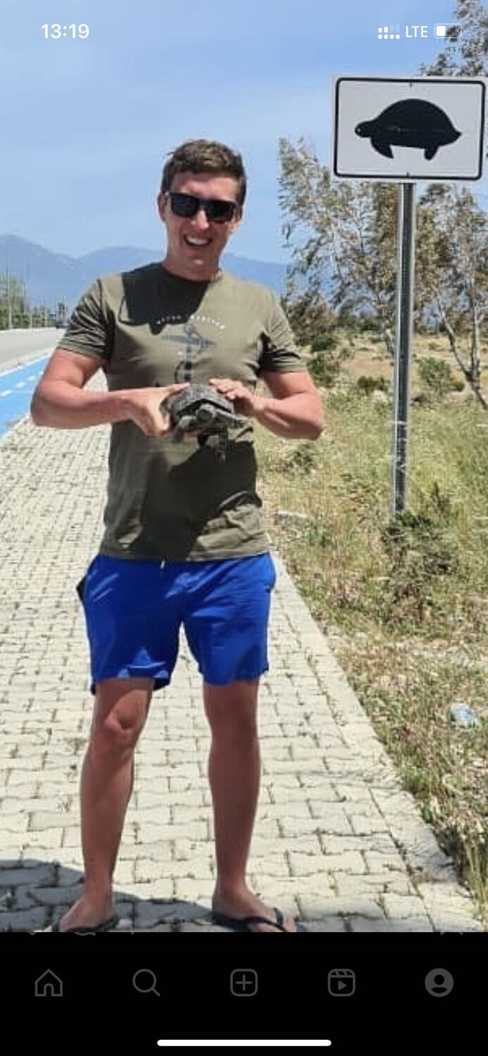  36588479  , 39 ,    