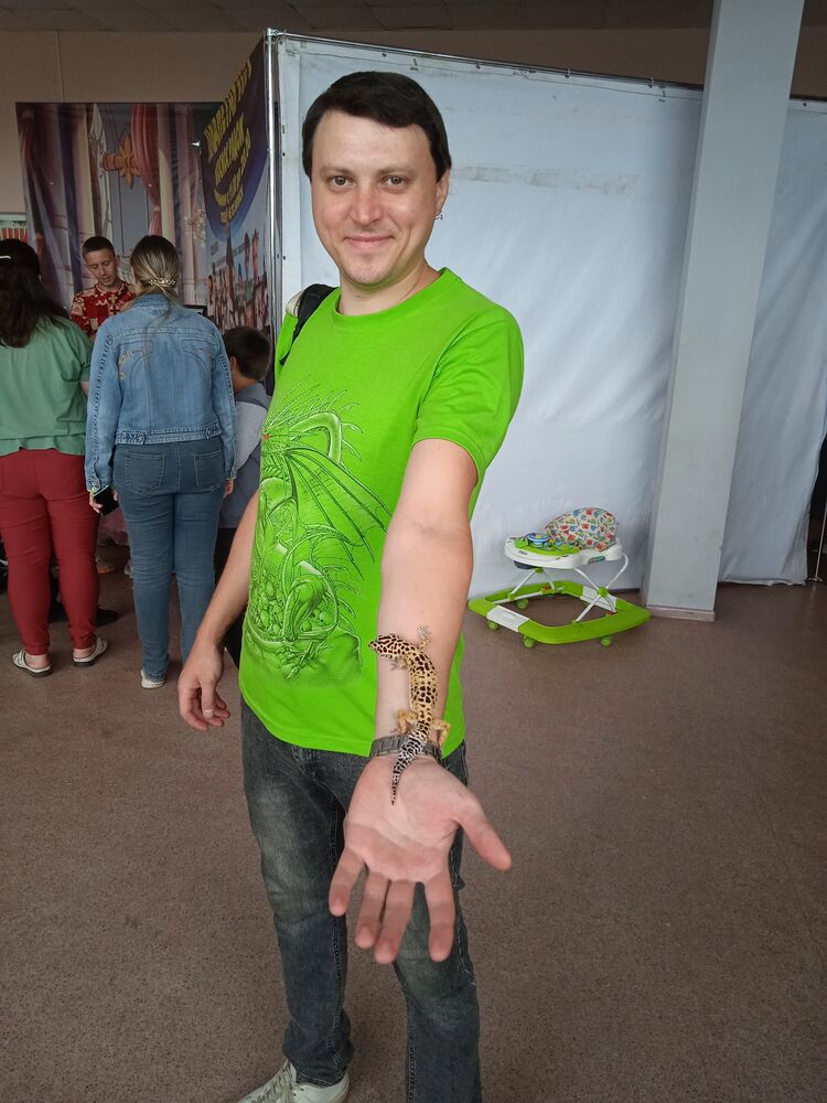 ���������� ������ ��������, ���� ������� ���������, 28 ���, ������������ ��� ������, ����� � ���������, c�������� ���������