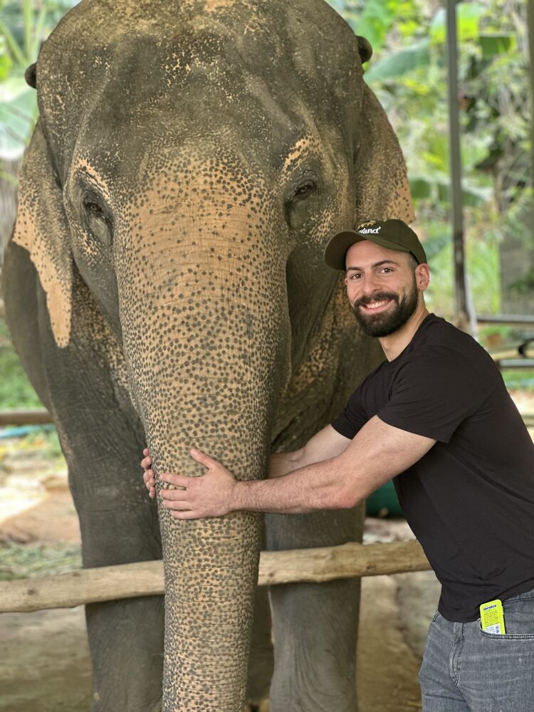 ���������� Beirut, ���� ������� Jad, 28 ���, ������������ 