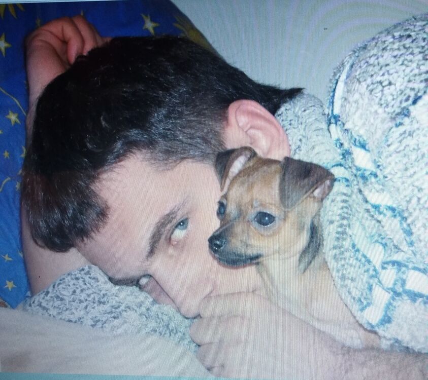 ���������� ������, ���� ������� �����, 40 ���, ������������ ��� ������, ����� � ���������, c�������� ���������