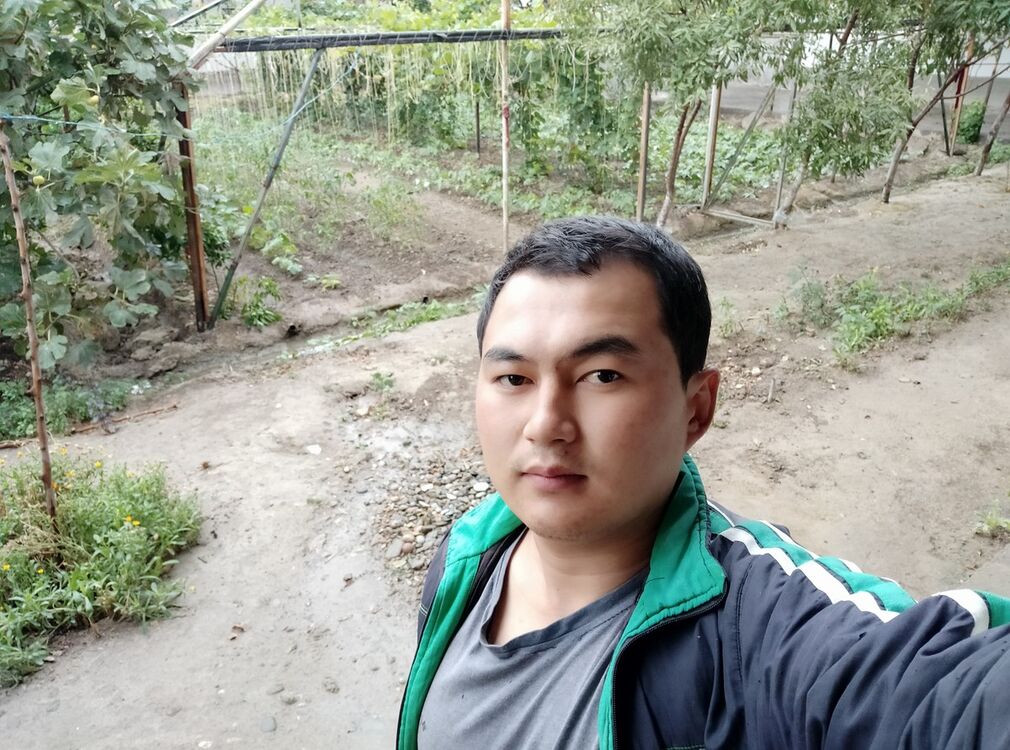  ,   Jasur, 31 ,     , c , 