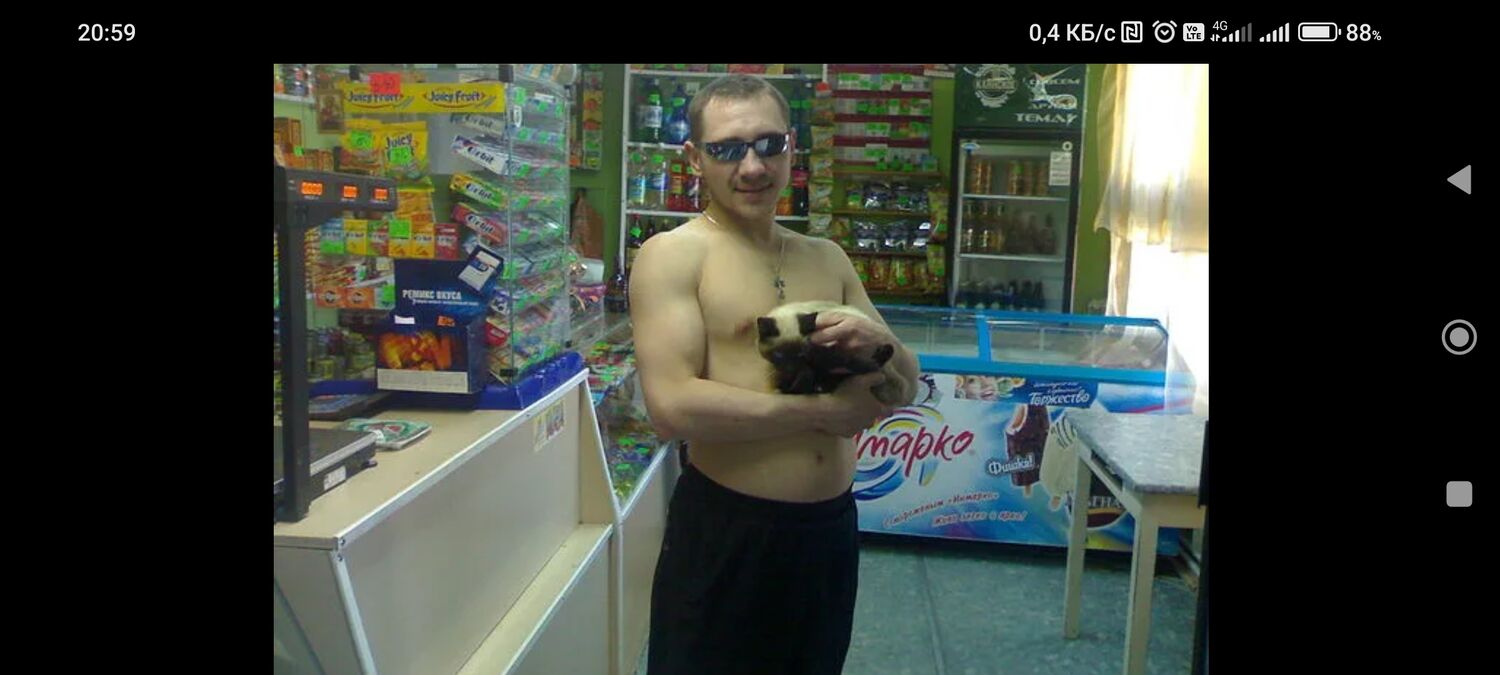 ���������� �����������, ���� ������� �������, 44 ����, ������������ ��� ������, ����� � ���������