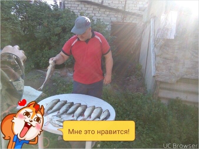  ,   , 47 ,     , c 