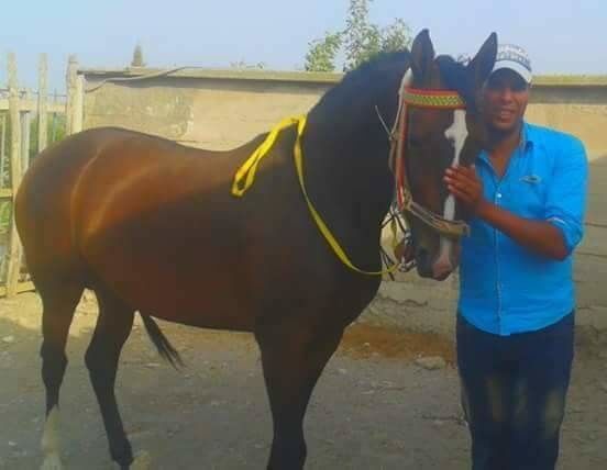  Kenitra-GHARB,   Said, 38 ,   ,   , c 