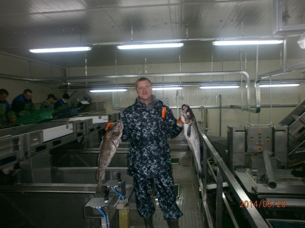  ,   , 48 ,   