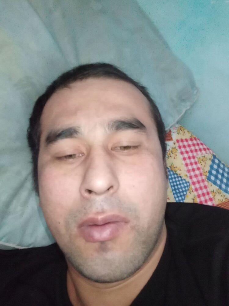 ���� 25246289 ������� �����, 32 ����, ���� ���������� � �����