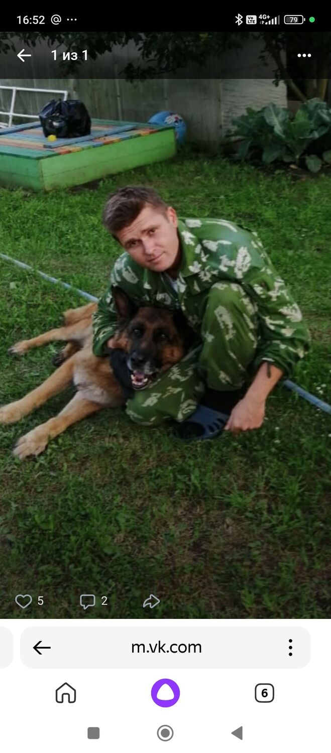 ���� 41812459 ������� ������, 40 ���, ���� ���������� � ������