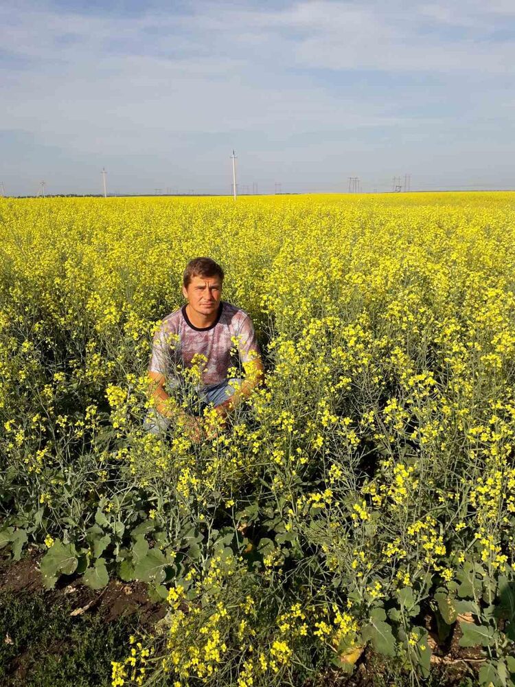 ���� 25472019 ������� ����, 29 ���, ���� ���������� � ��������