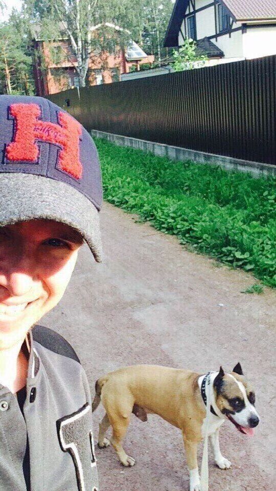  54685789  , 31 ,    -