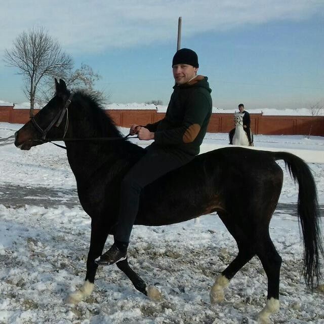  ,   Batir, 41 ,   
