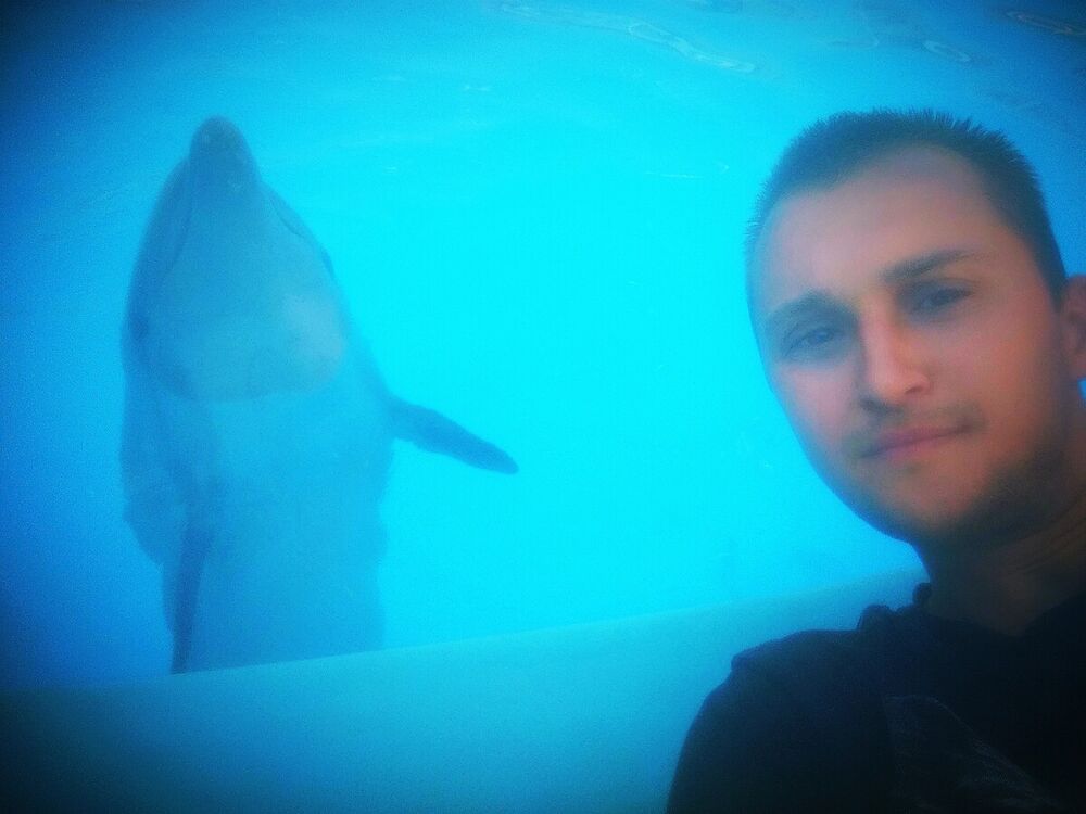 ���������� ��������, ���� ������� ������, 33 ����, ������������ ��� ������, ����� � ���������, c�������� ���������