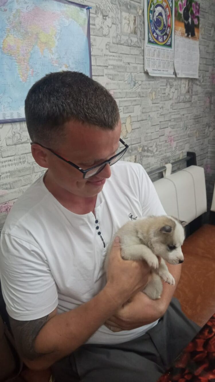 ���������� ����-���������, ���� ������� ������, 37 ���, ������������ ��� ������, ����� � ���������, c�������� ���������