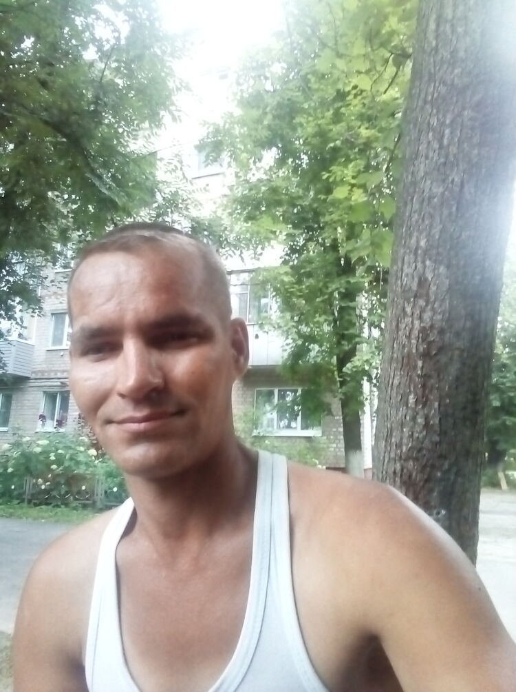  23416019  , 44 ,    