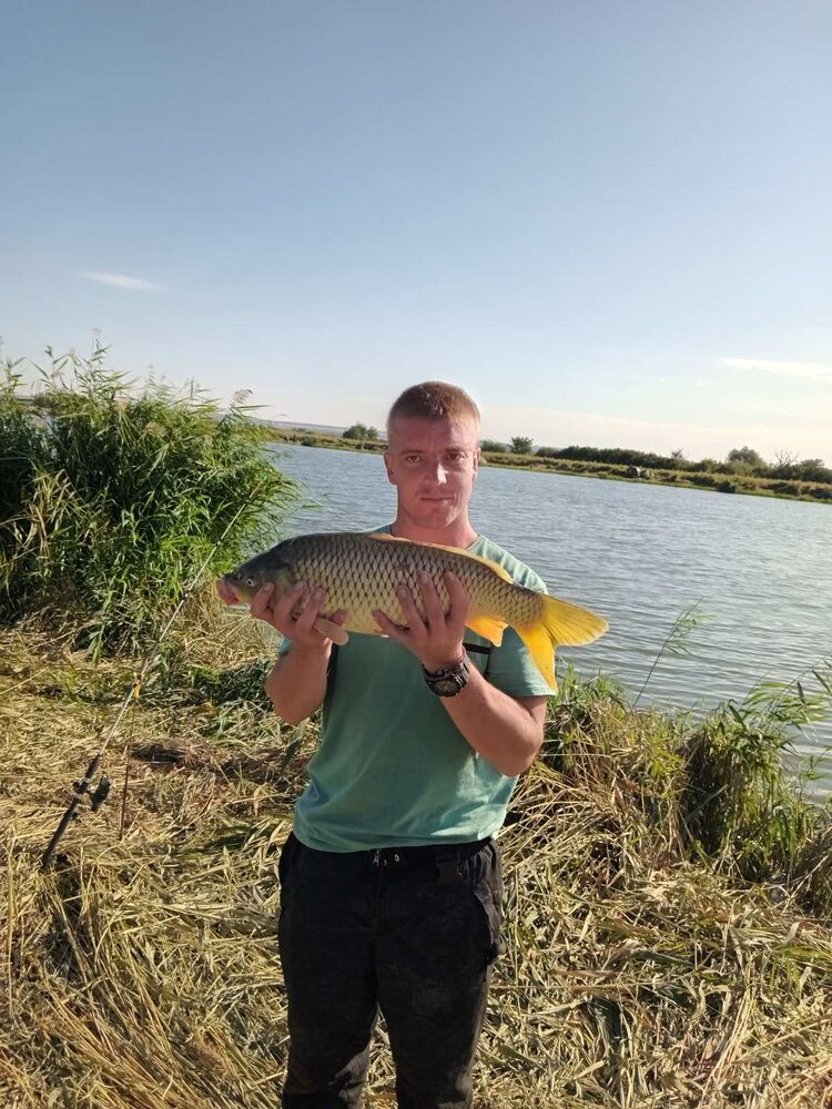 ���� 55537149 ������� �����, 32 ����, ���� ���������� � ������