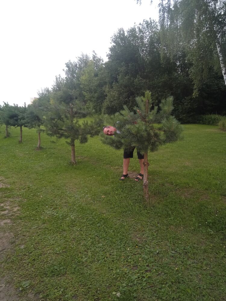 ���������� �������, ���� ������� ����, 49 ���, ������������ ��� ������, ����� � ���������, ���������