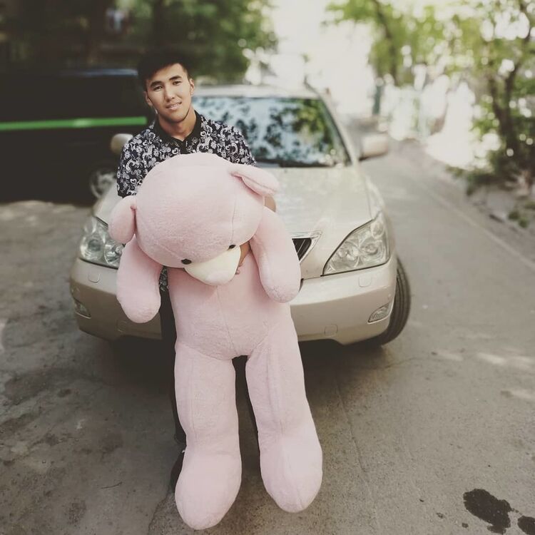 ���� 19447559 ������� �������, 29 ���, ���� ���������� � �������