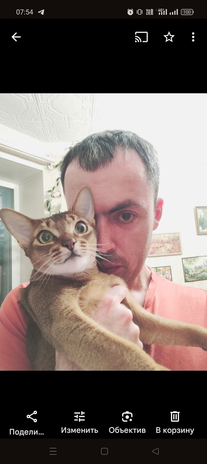  ,   Artyom, 35 ,   ,   , c 