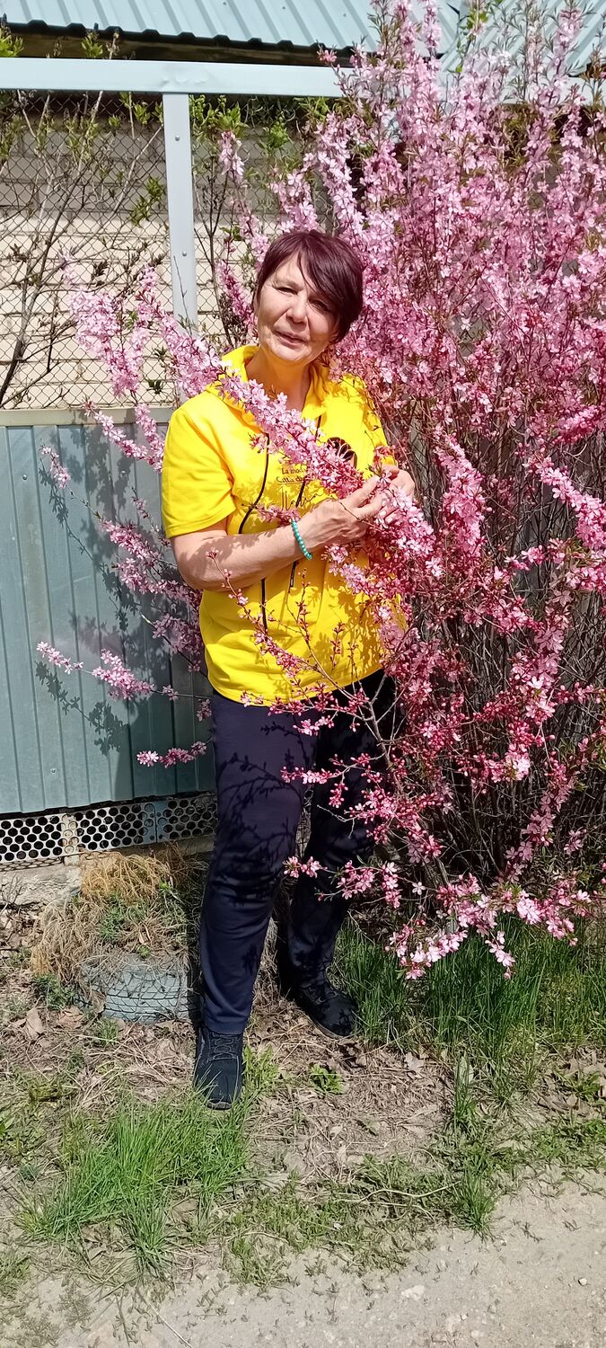  ,   , 56 ,   ,   