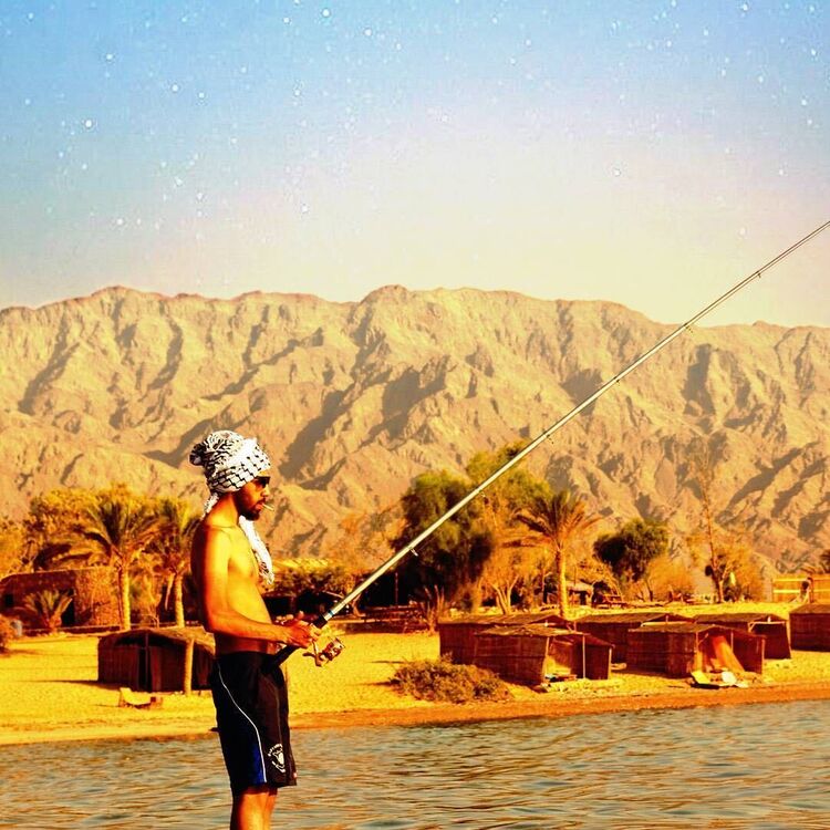 ���������� Al Ghardaqah, ���� ������� Amro, 31 ���, ������������ ��� ������, ����� � ���������, c�������� ���������