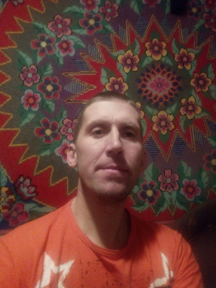  18795669  , 50 ,    