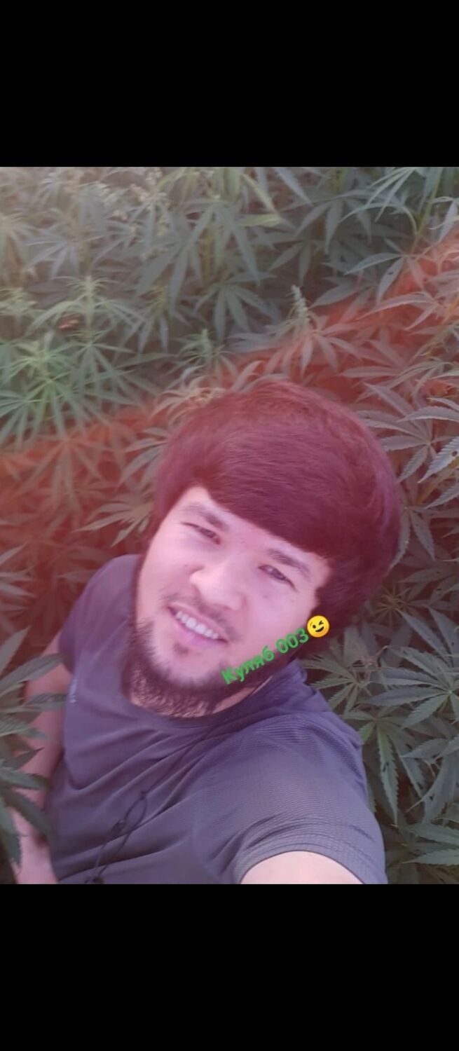 ���� 29653089 ������� ����, 26 ���, ���� ���������� � ���������